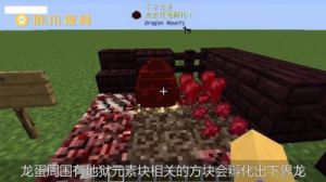 我的世界原版可以孵化龙蛋吗 迷你世界三种孵化黑龙蛋方法