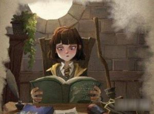 哈利波特魔法觉醒：罗宾与费雪兄弟在球场拼图位置揭秘